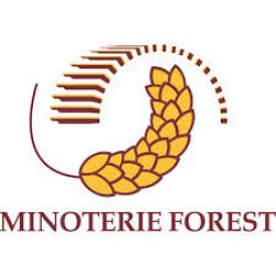Minoterie Forest - 